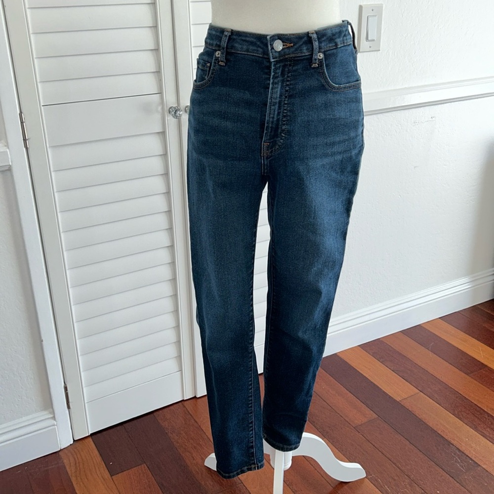 Everlane Curvy Highrise Waist Skinny Jeans
